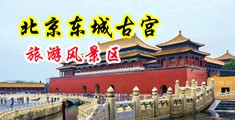 操逼露脸视频中国北京-东城古宫旅游风景区